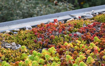 the cost of Little End green roof installation