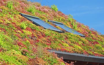 Little End living roof systems
