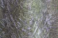 Little End fibreglass roof work